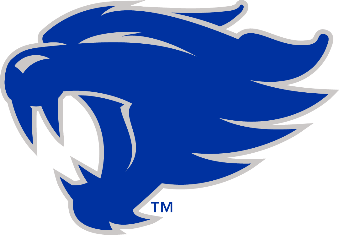 Kentucky Wildcats 2016-Pres Alternate Logo t shirts iron on transfers